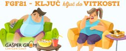 Rjavo maščevje in vitkost