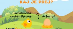 Inzulinska rezistenca in debelost