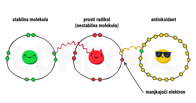Prosti radikali