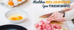 Koliko beljakovin (po treningu)